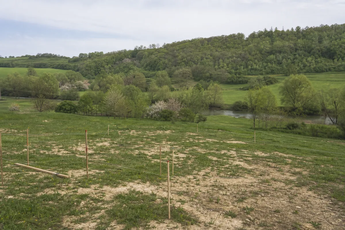 Jardin en léger dévers dominant la vallée de l’Armançon avant travaux de piscine